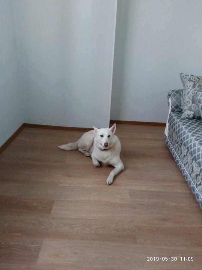 Арт-Готель "Династія" Bila Tserkva Luaran gambar